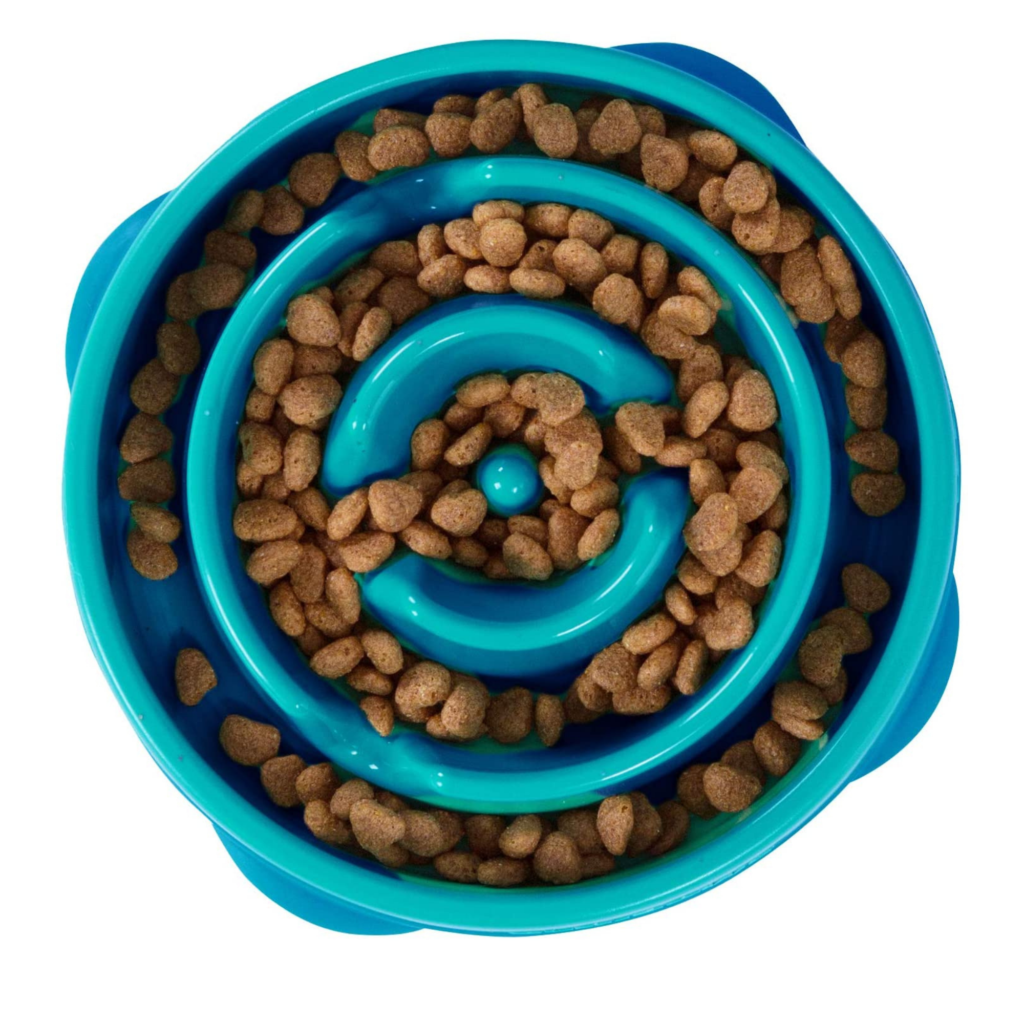 Slow Feeder Dog Bowl